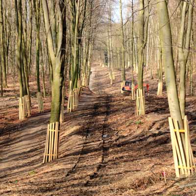 Baumschutz auf Baustellen