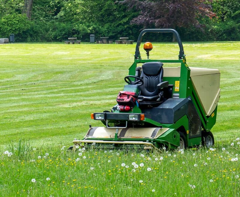 Gartenjahrespflege